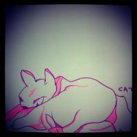 Sketch - Cat - Pen